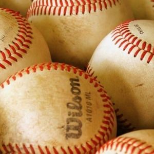 Meet your Posher, Joey